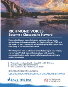 VoiCeS Program Flyer