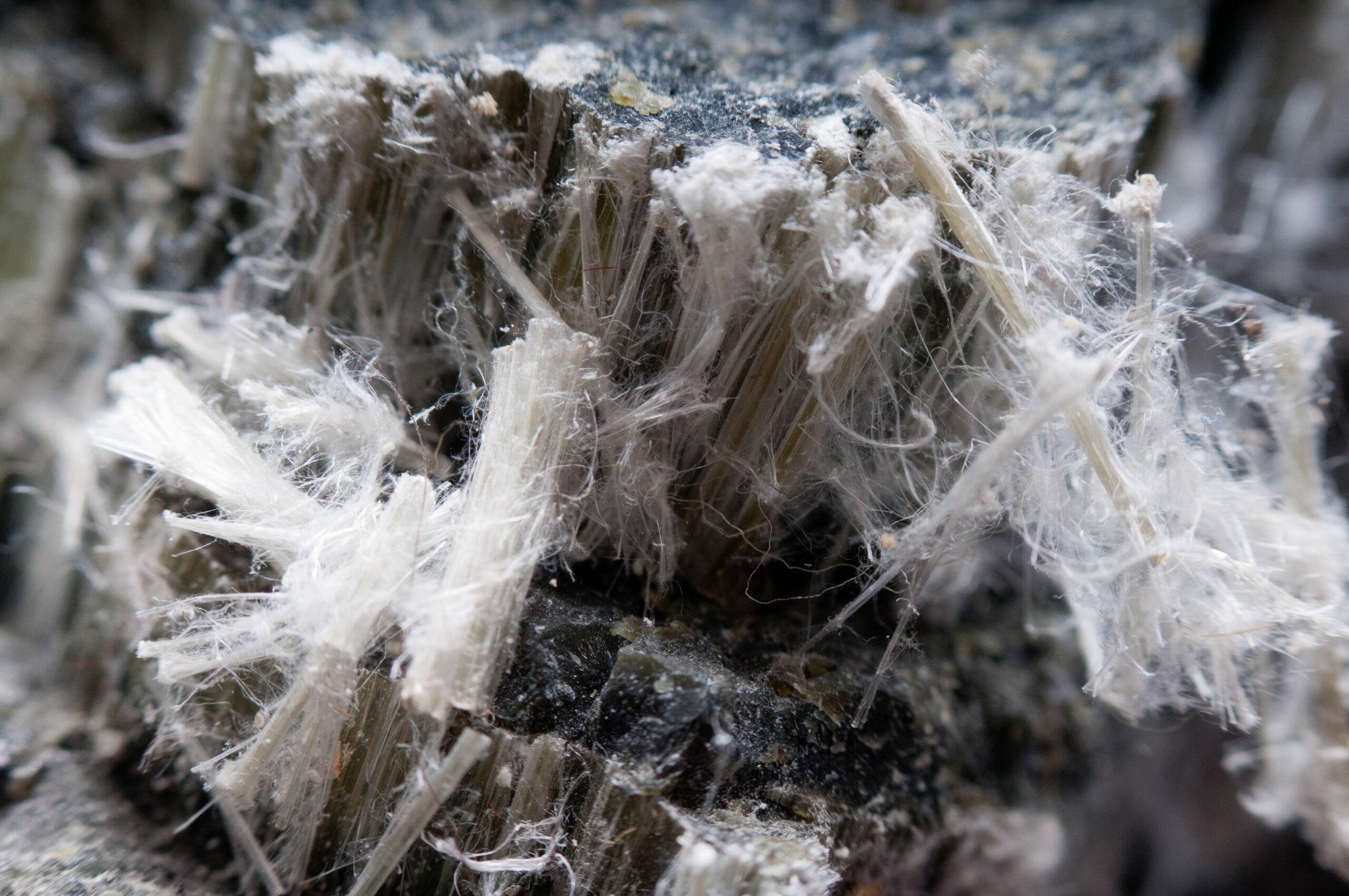 magnified view of asbestos chrysotile fibers